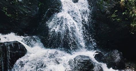 Nature Sights to Uncover in the Progressive Crown City of the South.